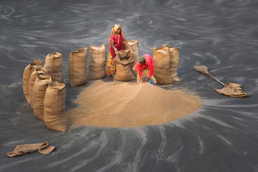 Circle of Harvest