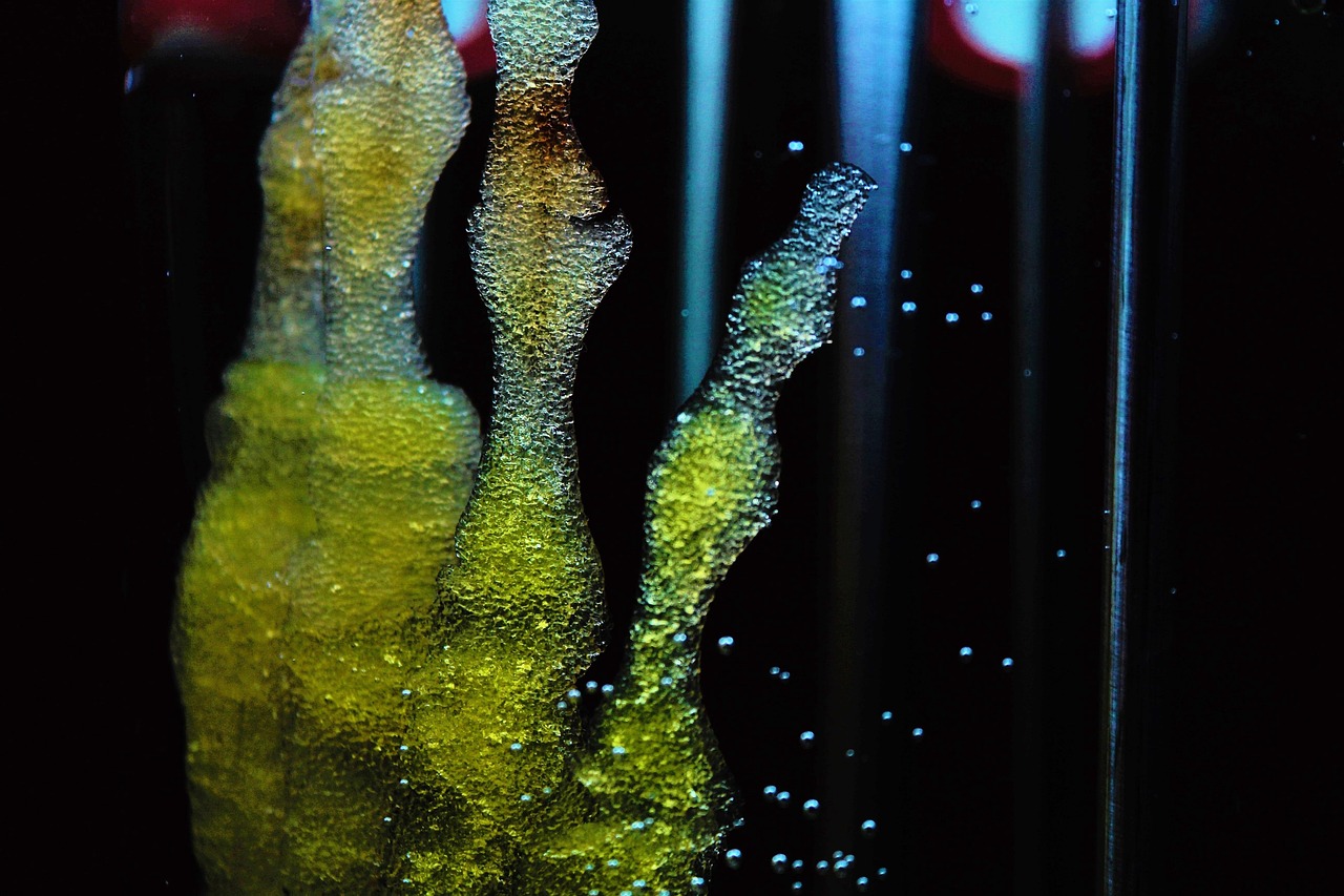 regenerative reliquary, amy karle, stem cell, bioprint, technology, 3-d printing, biology, biodegradable, pegda hydrogel, sculpture, the bioreactor, mesenchymal stem cells, future, donor, construction, mineralization, bone, progress, art, science, aec, aec linz, ars electronica center, ars electronica festival, the ars electronica festival in 2017, bio-art project, project, healing the body, healing bone, impossible, biomedicine, futuristic, emergence of bone, laboratory, emergence, stem cell, stem cell, stem cell, stem cell, stem cell, biodegradable, biodegradable, biodegradable, impossible, biomedicine, biomedicine, biomedicine